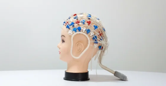 Participant wearing a multi-channel EEG electrode cap in the lab